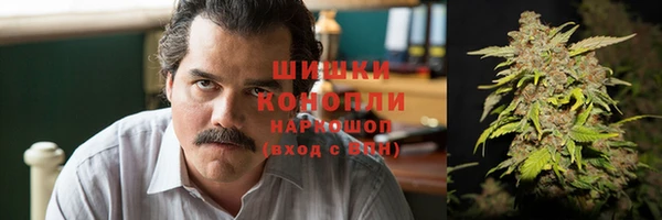 гашик Алексеевка