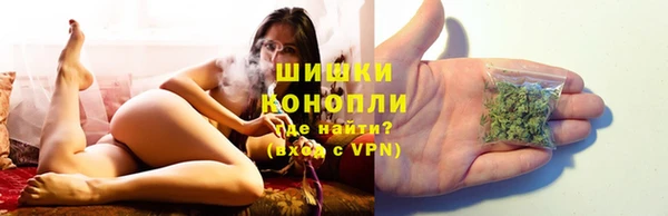 спайс Алзамай