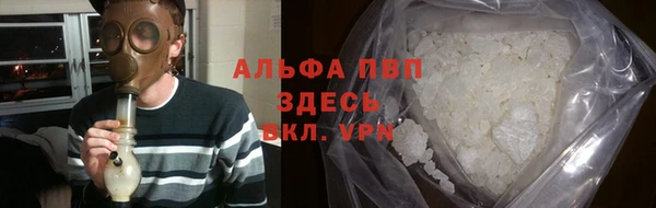 гашик Алексеевка