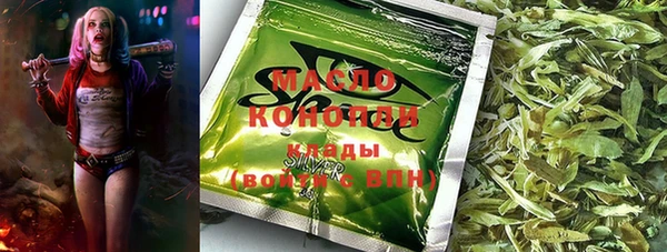 гашик Алексеевка