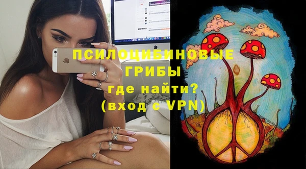 гашик Алексеевка