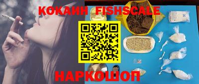 шишки Сланцы