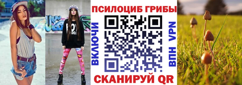 Галлюциногенные грибы Psilocybe купить наркотики цена Темрюк